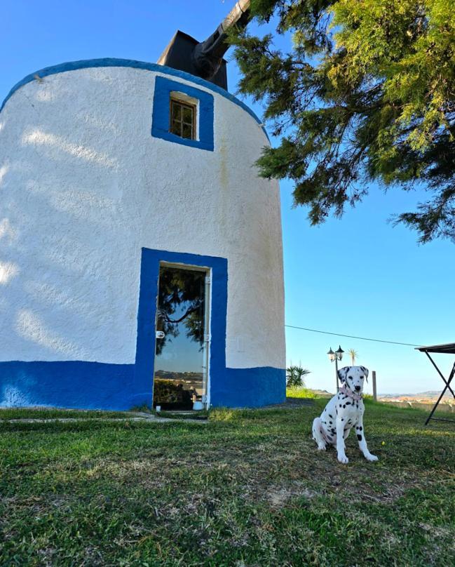 فيلا Casal Do Moinho Enxara do Bispo المظهر الخارجي الصورة
